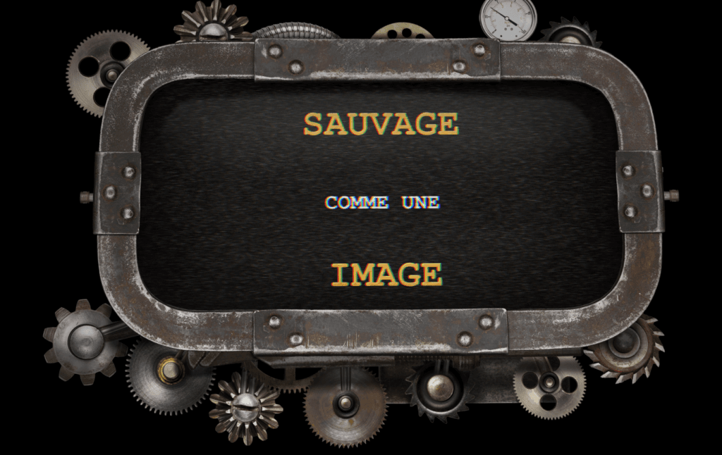 Sauvage Comme une Image